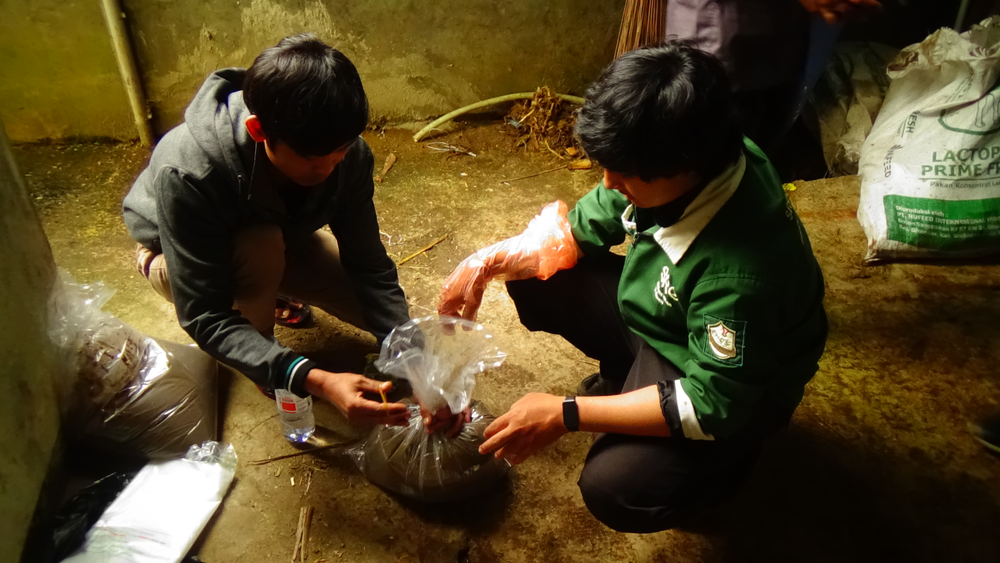 Organic Liquid Treatment